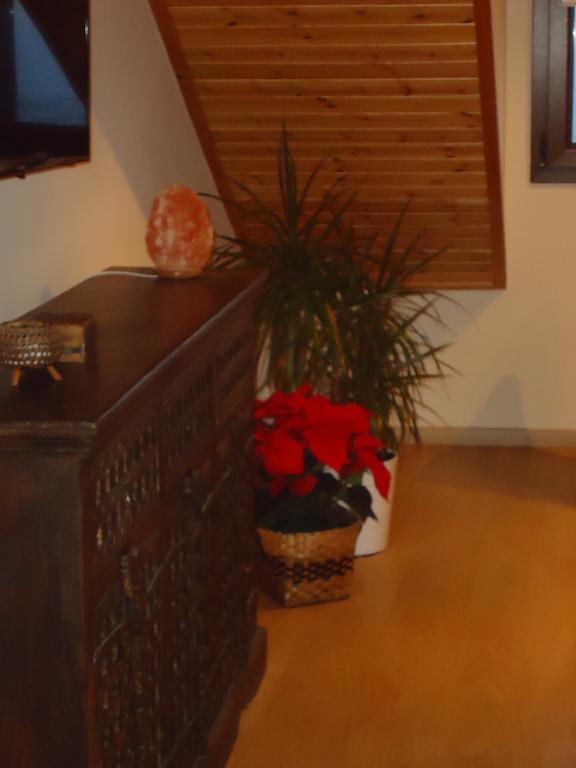 Petralona Apartment Agios Athanasios Buitenkant foto